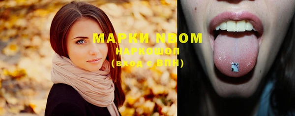 шишки Белокуриха
