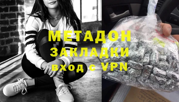 шишки Белокуриха
