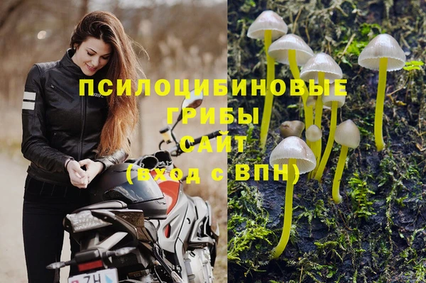 винт Баксан