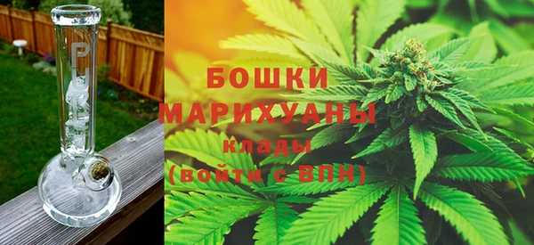 PSILOCYBIN Балабаново