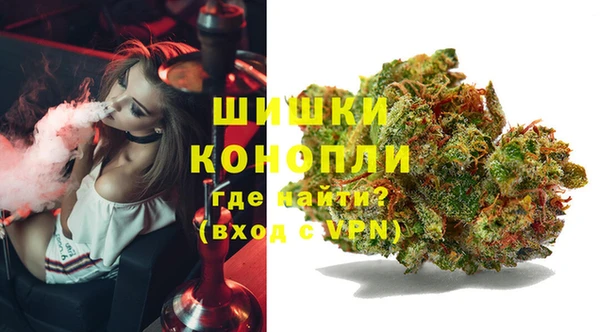 PSILOCYBIN Балабаново