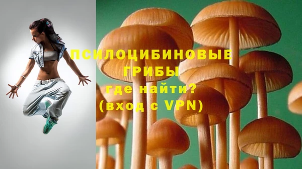 PSILOCYBIN Балабаново