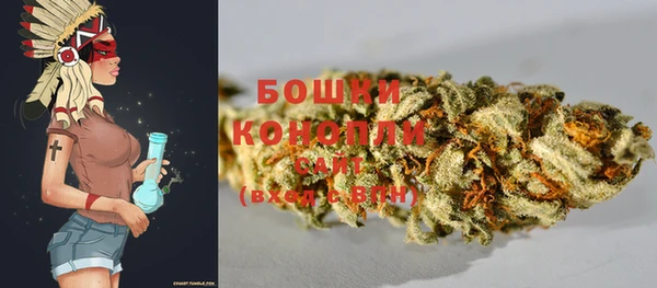 PSILOCYBIN Балабаново